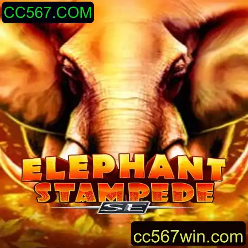 Explorando o Mundo de ElephantStampedeSE e CC567.COM